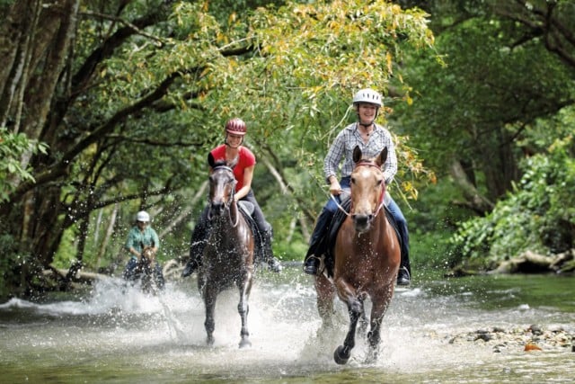 Horse Back Safaris Kwa Madwala Game Reserve